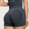 Anthracite Fake BBL šortai - Image 2